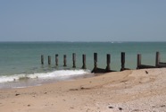 IMG_1295.jpeg