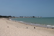 IMG_1301.jpeg