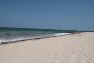 IMG_1386.jpeg