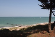 IMG_1393.jpeg
