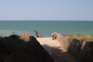 IMG_1395.jpeg