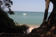 IMG_1424.jpeg