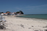 IMG_1478.jpeg