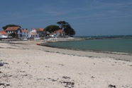 IMG_1482.jpeg