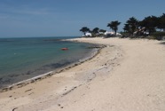 IMG_1522.jpeg