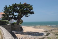 IMG_1528.jpeg