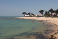 IMG_1534.jpeg