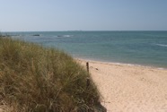 IMG_1550.jpeg