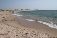 IMG_1560.jpeg