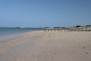 IMG_1606.jpeg