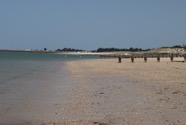IMG_1621.jpeg