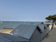 IMG_2854.jpeg