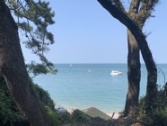 IMG_6051.jpeg