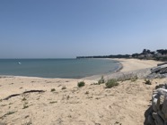 IMG_6064.jpeg