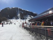 IMG_0392.jpeg