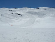 IMG_0962.jpeg