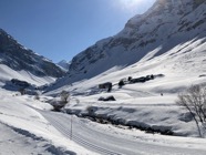 IMG_1792.jpeg