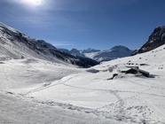 IMG_1799.jpeg