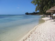 IMG_2873.jpeg