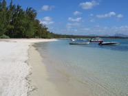 IMG_2879.jpeg