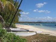 IMG_2883.jpeg