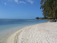 IMG_2889.jpeg