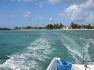 IMG_2972.jpeg