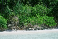 img005.jpeg