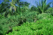 img026.jpeg