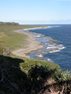 DSCN3890.jpg