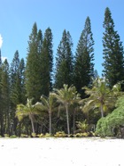 DSCN3928.JPG